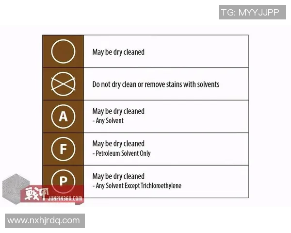 解析上海排球队防守与反击的战术奥秘与技术深度
