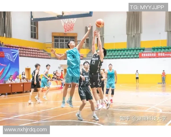 重庆乒乓球队技术革新引发热议助力竞技水平提升与未来发展