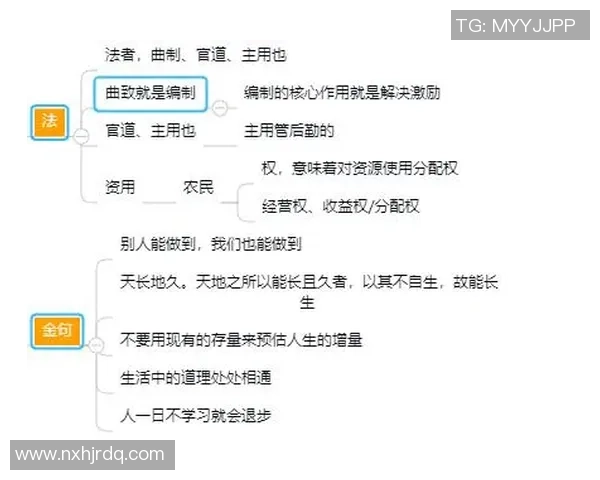 南京篮球队与深圳篮球队赛后复盘分析团队配合与战术执行的关键要素