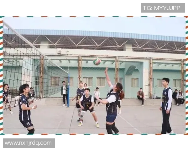 武汉排球队的拼搏之路精英赛背后的奋斗与荣耀